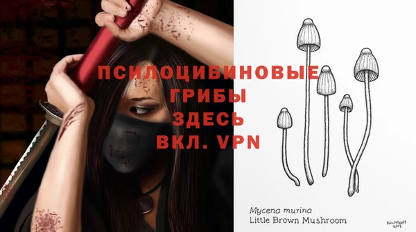 дурь Абдулино