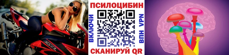 Псилоцибиновые грибы GOLDEN TEACHER  Сухиничи 